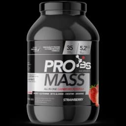 Pro mass 5.2kg - Basic Supplements