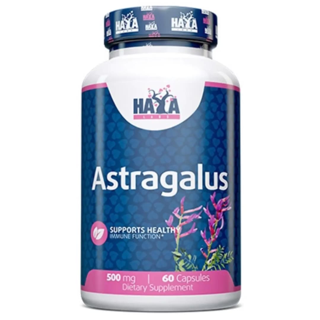 Astragalus 60cap/500mg - Haya Labs