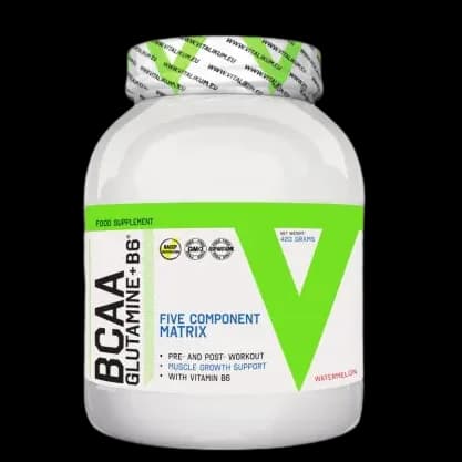 BCAA Glutamine B6 Vitalikum 420 g aminokiseline sa glutaminom i vitaminom B6 za trening i oporavak