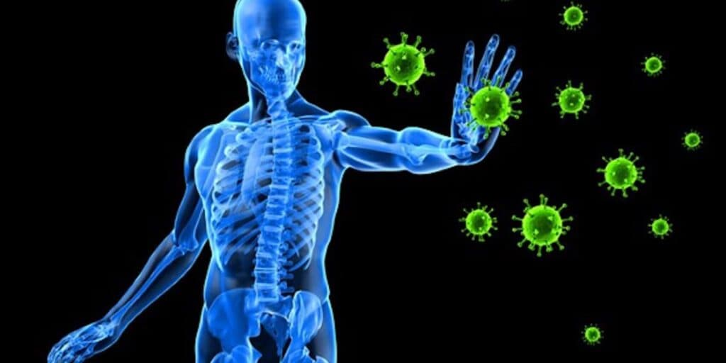 Glutation – žašto je važan antioksidans?