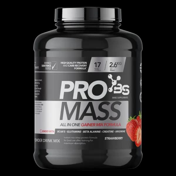Pro Mass 2.6 kg Basic Supplements gainer za povećanje telesne mase, mišićni rast i oporavak posle treninga