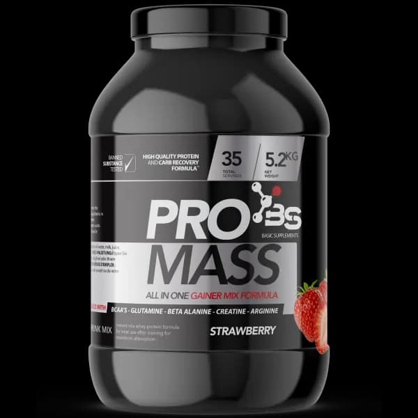 Pro Mass 5.2 kg Basic Supplements gainer za povećanje telesne mišićne mase, mišićni rast i oporavak posle treninga